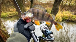 ЭТОТ ШНУР-"ПАУТИНКА" УДИВИЛ НА РЫБАЛКЕ / МОРМЫШИНГ ПОЗДНЕЙ ОСЕНЬЮ на РУЧЬЕ