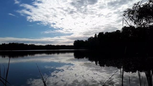 НЕСКОЛЬКО СЛОВ О ПЕРЕПОЛОХЕ! смотреть онлайн