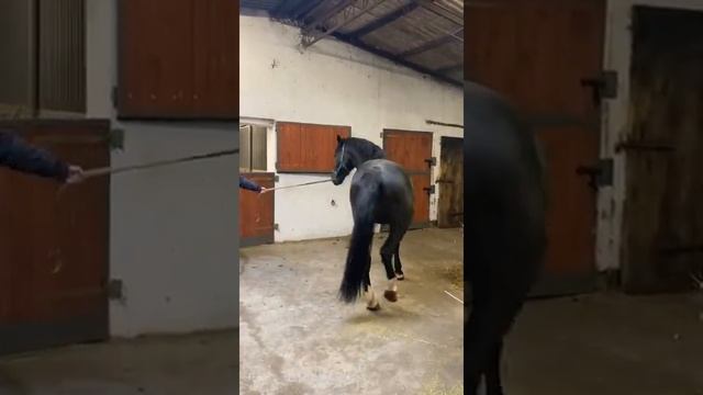 Сласка в Польше .3 года,рост 1.72.  Контактный номер  +48511533222 Миша. смотреть онлайн