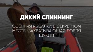 ДИКИЙ СПИННИНГ // Осенняя рыбалка в секретном месте!! Захватывающая ловля щуки!!