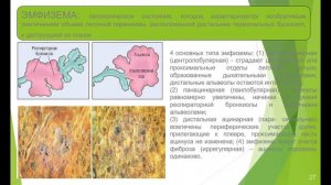 Лекция: Патологическая анатомия заболеваний органов дыхания. 20.03