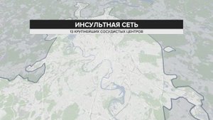 Инсультная сеть