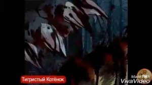 Бич-Босс теперь он, бог теперь он