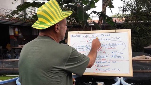 Guppys - Agua de peixe - Vamos falar sobre GH смотреть онлайн