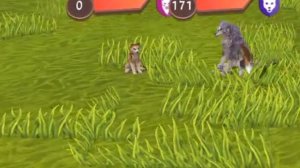 Бесячие типы игроков /WildCraft/