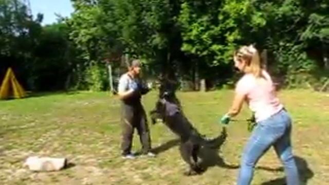 ВЕО Витязь Уран смотреть онлайн