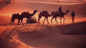 Новый арабский ремикс