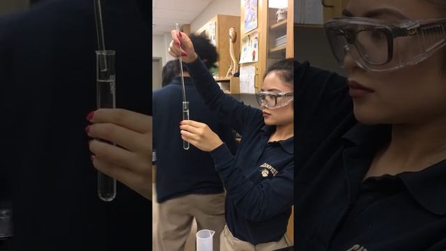 FACTORS AFFECTING CATALASE: Substrate Concentration