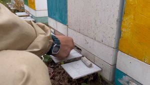 29.09.23 обработка шнурами тэда