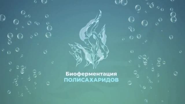 PLASMA и PLASMAX. Уникальный комплекс для поддержания гомеостаза.  Компания ВЕРТЕРА. VERTERA.