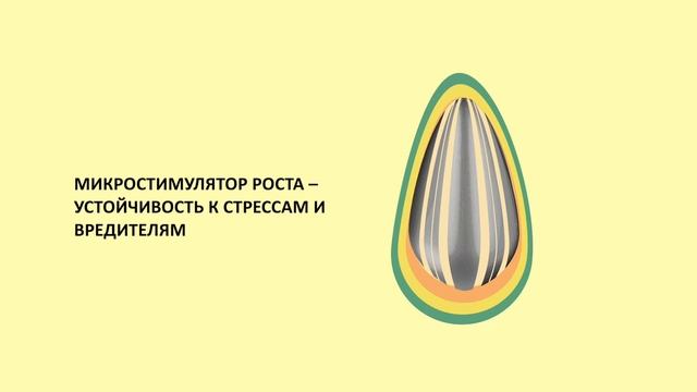 Технология производства семян подсолнечника CAUSSADE SEMENCES по технологии SunPower