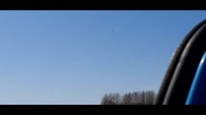 #Охота с ружьем #Sibergun Momento Platinum