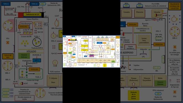 #SHORT CAP 26 #bioquímica #nutrición #salud #uns #viralshort #resumendepeliculas