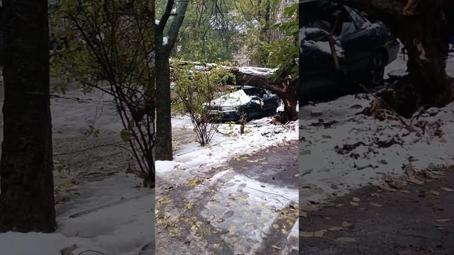 У природы нет плохой погоды машина восстановлению не подлежит смотреть онлайн