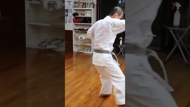 Matsubayashi Ryu Arakaki Toshimune - Gojushiho