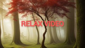dinamic and piano music музыка для сна,музыка для медитации,,relax,,relax music,медитация,сон