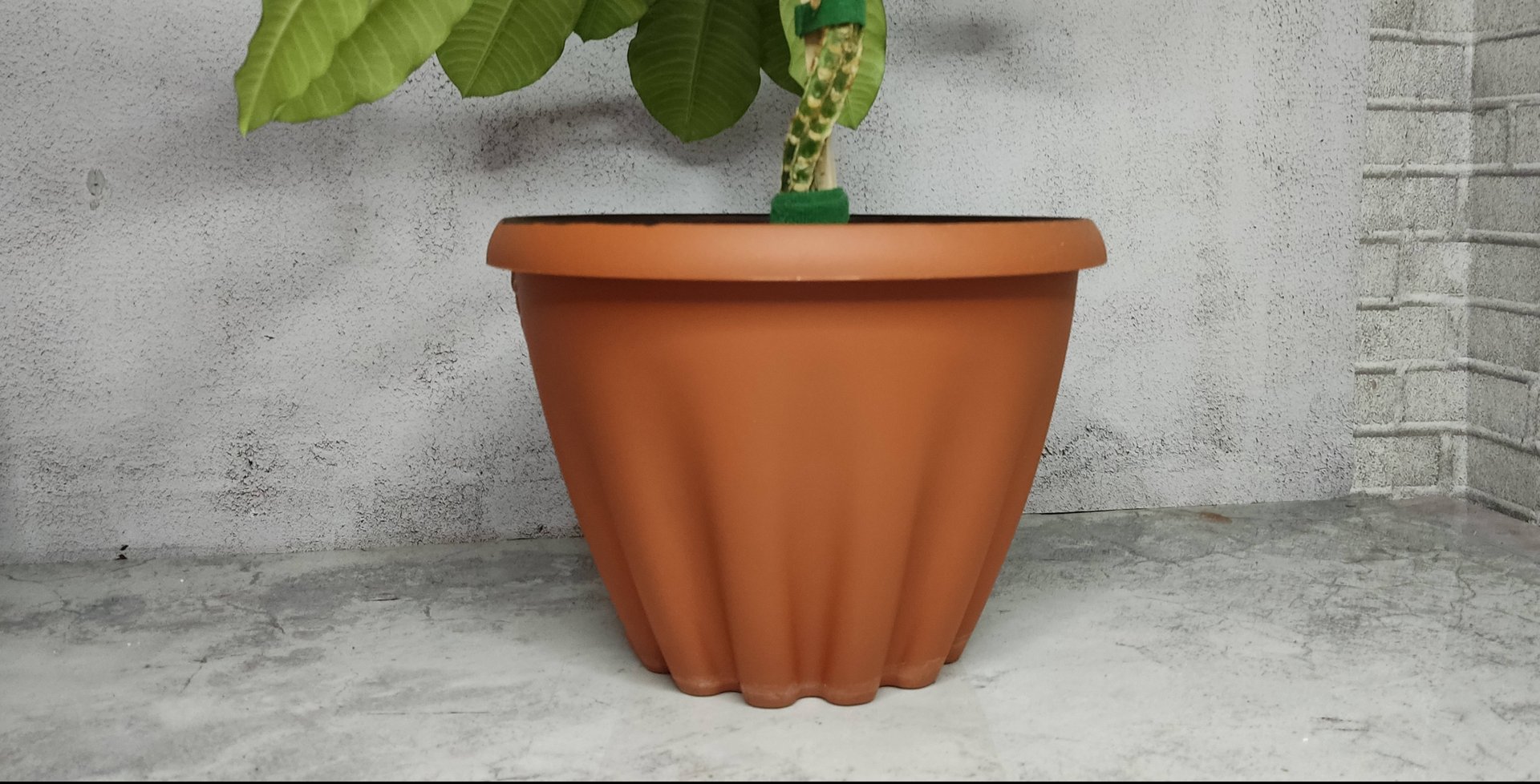 Что сделать, если цветочный горшок не вписывается в интерьер? Лёгкий способ преобразить горшок смотреть онлайн