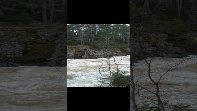 Весенний водопад Кивач