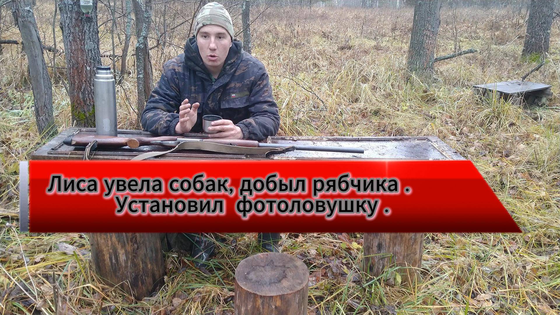 Потерял собак . Лиса увела Тумана и Шамана . Установил фотоловушку на звериной тропе .