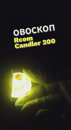 Овоскоп Rcom Candler 200