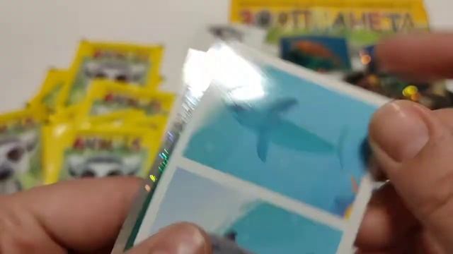 PANINI Зоопланета 2020 2 часть смотреть онлайн