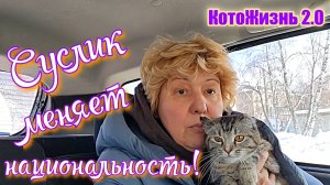Суслик меняет национальность!