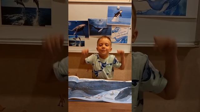 23 июля - всемирный день китов и дельфинов смотреть онлайн