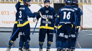 «Tellus Bandy»-«IFK Rättvik» 13 Nov Bandyallsvenskan 2024-25