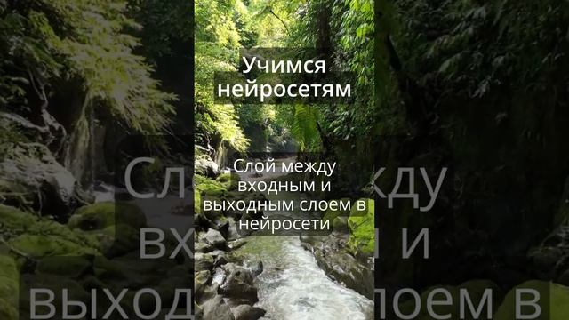 Терминология нейросетей - Hidden Layer #taus #нейросеть #ai #hl