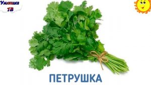 Развивающие мультики для детей от 2 3 лет Мультфильм #2 учим слова Обучающее видео для детей
