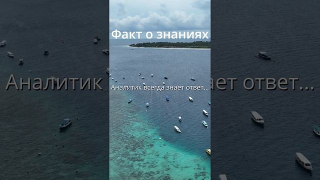 Факт об аналитике - Знания  #taus #маркетинг #факт