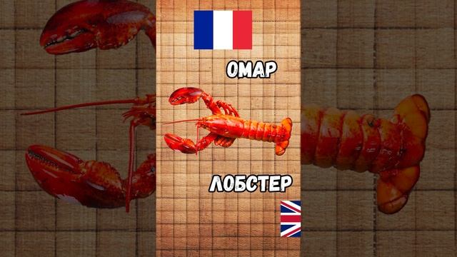 Чем омар отличается от лобстера