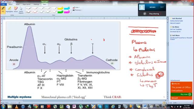 Serum Protein electrophoresis смотреть онлайн