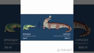 🐍титанобоа 🆚 сарказуха🐊