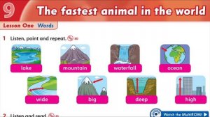 Family and Friends 3 Unit 9  Lesson 1