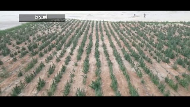 الموقف الأمني عن يوم الأثنين الموافق 6-12-2021 смотреть онлайн