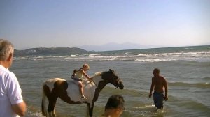 TURKEY: BEACH HORSE RIDE AND PHOTO, В море на лошади. ТУРЦИЯ