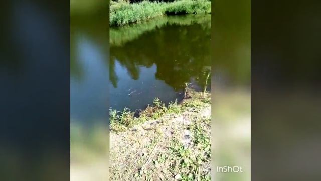 Не реальные условия труда. смотреть онлайн