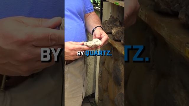 How a Calcium Mineral Can Turn into Quartz. смотреть онлайн