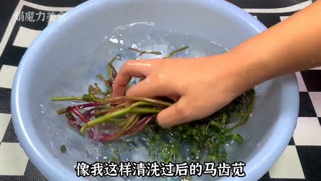 雞蛋配上馬齒莧，作用太棒了，解決了很多人的困擾，實用省錢【娟魔力美食】，#雞蛋，#馬齒莧，#雞蛋配馬齒莧作用