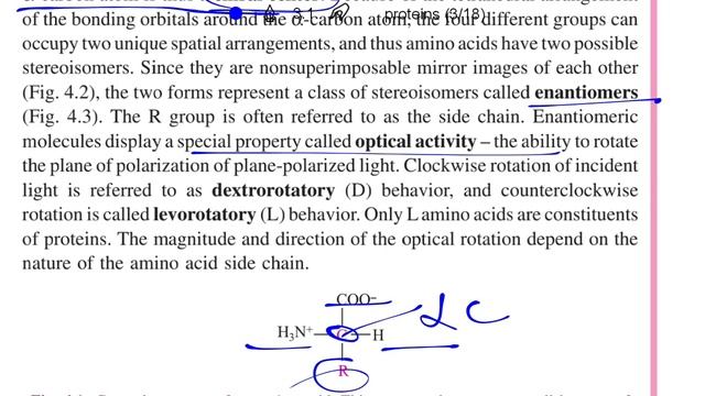 Protein Metabolism Part 1||Rpsc Gyan|| смотреть онлайн