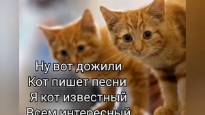 Я КОТ НА СТИЛЕ! Пісня з словами