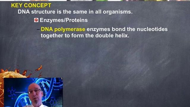 DNA Replication смотреть онлайн