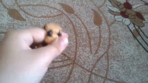 Как я кручу чётки болтухи