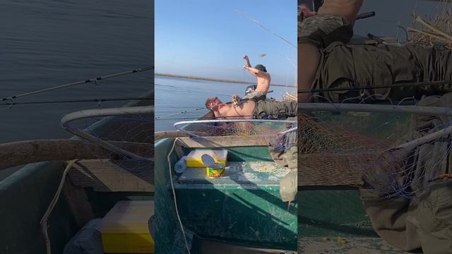 Рыбалка и отдых в Астрахане, клюёт всё подряд!! смотреть онлайн