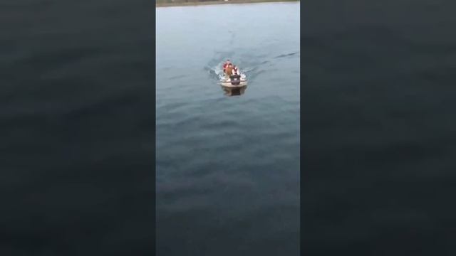 Водная прогулка удалась #павелгрозный #shorts #водныйспорт  #лодкапвх