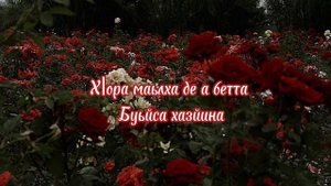Петимат Еснакаева - Ирсан Чам🥀♥️ Текст песни❤️🔥