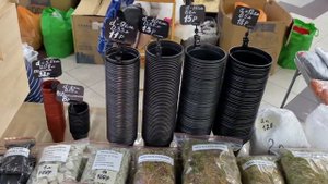 ВЫСТАВКА| Галактика утопает в цветах | КРАСНОДАР