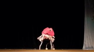 Цирковой номер детского образцового эстрадно-циркового коллектива «Звёздная улыбка»