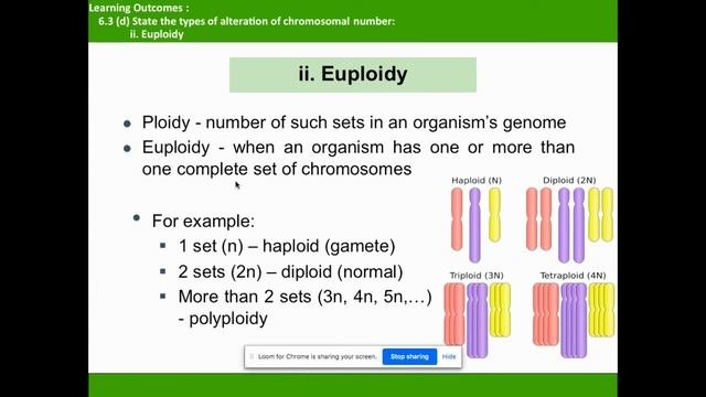 VP Mutation Aneuploidy And Euploidy